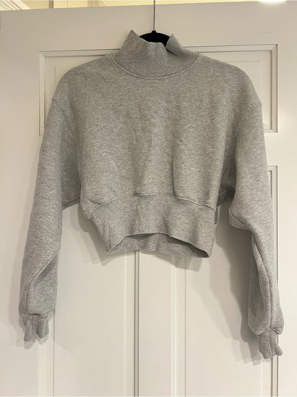 Aritzia Sweatfleece Crop Sweatshirt